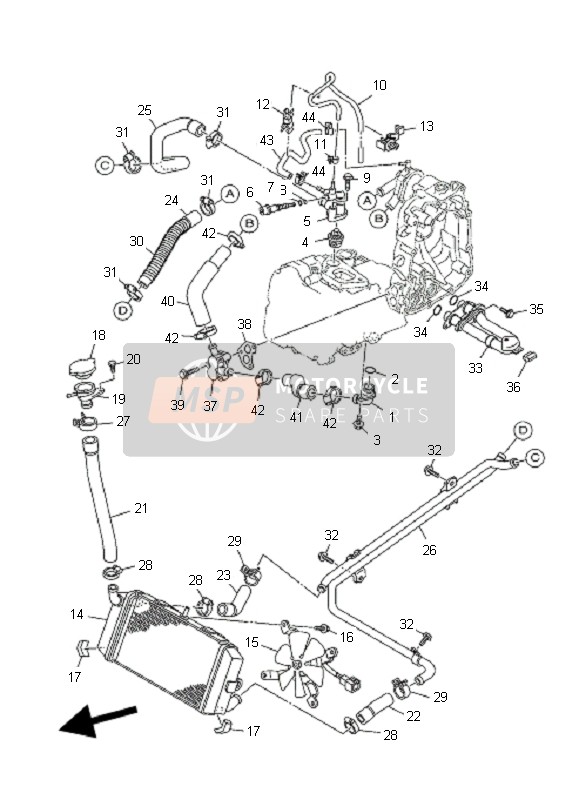 Radiator & Hose